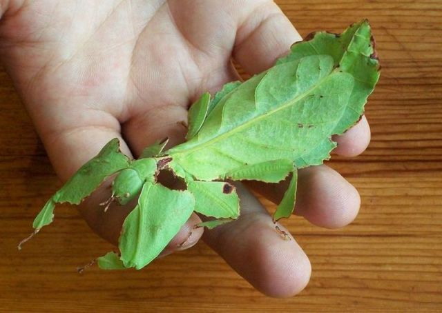 daily picdump 100 pics 13.html - 100 HD Photos | Premium Gallery 2015