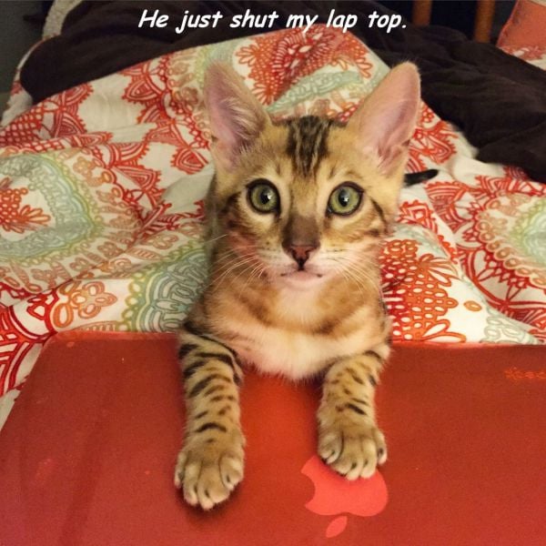 daily picdump 100 pics 13.html - 100 HD Photos | Premium Gallery 2015