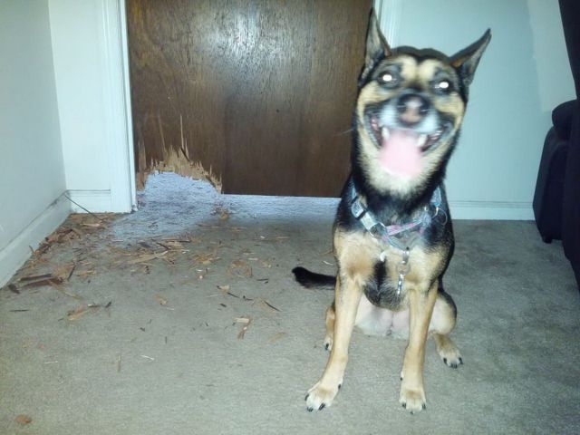 daily picdump 100 pics 13.html - 100 HD Photos | Premium Gallery 2015