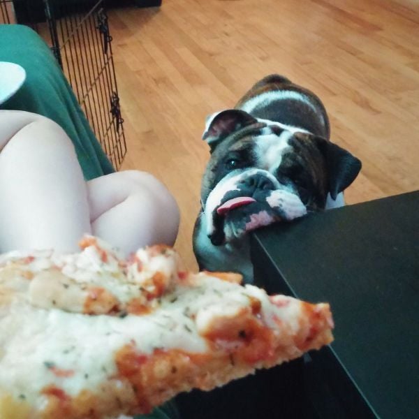 daily picdump 100 pics 13.html - 100 HD Photos | Premium Gallery 2015