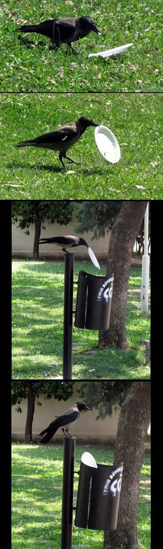 daily picdump 100 pics 13.html - 100 HD Photos | Premium Gallery 2015