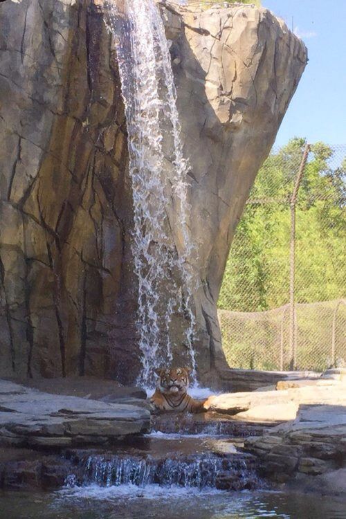 morning picdump 54 pics 12.html - 54 HD Photos | Premium Gallery 2015