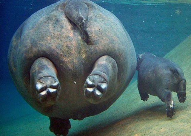 morning picdump 54 pics 12.html - 54 HD Photos | Premium Gallery 2015