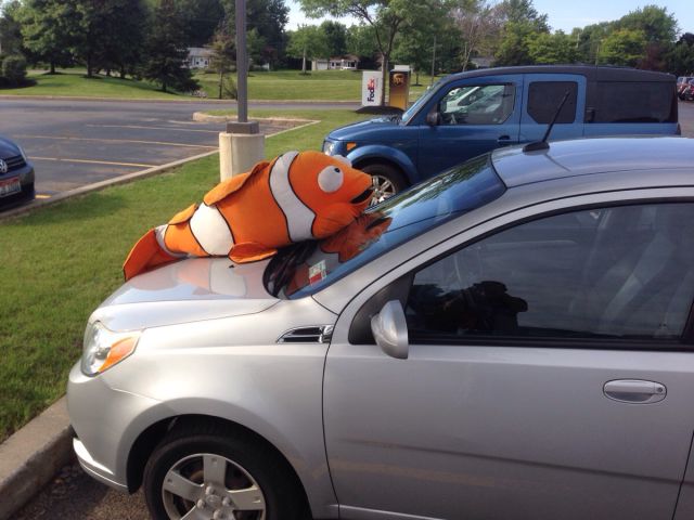 morning picdump 54 pics 12.html - 54 HD Photos | Premium Gallery 2015
