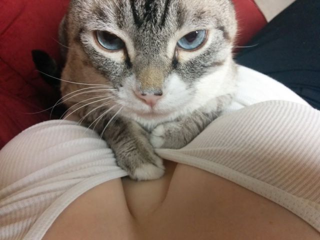 grownup corner 64 pics 11 gifs 37.html - 64 HD GIF | Premium Gallery 2015