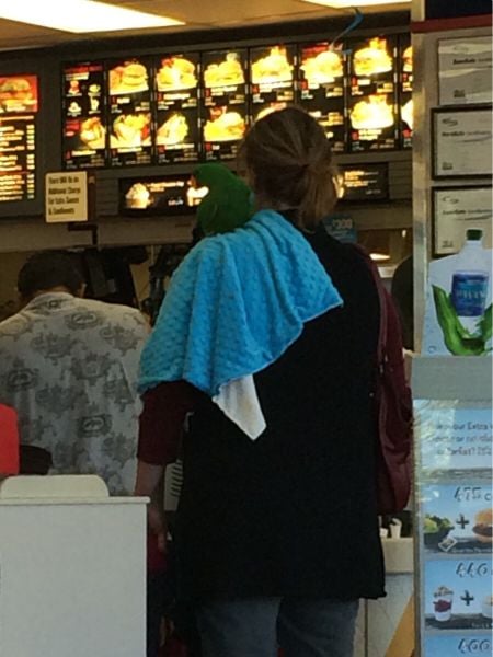 morning picdump 51 pics 2.html - 51 HD Photos | Premium Gallery 2015