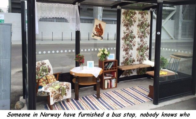 page,36,top 1500 daily pics of the year 2015.html - 1 HD Photos | Premium Gallery 2015