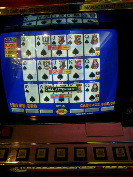 This Is an Awesomeness Overload