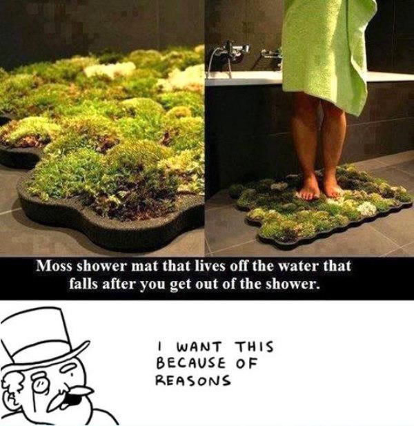 This Is an Awesomeness Overload