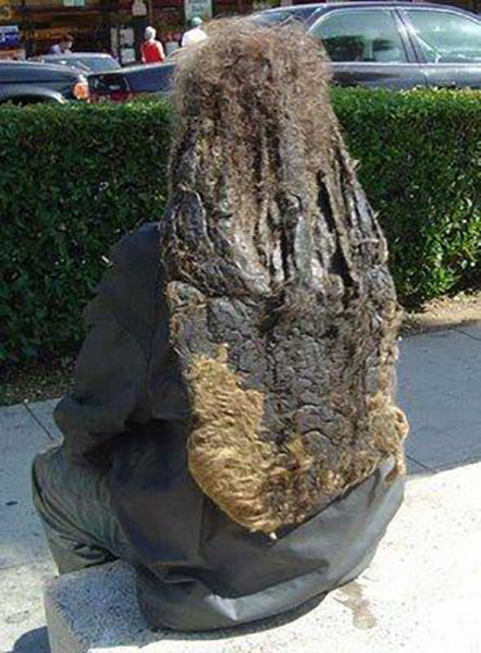 morning picdump 54 pics 18.html - 54 HD Photos | Premium Gallery 2015