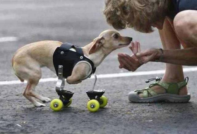 morning picdump 52 pics 3.html - 52 HD Photos | Premium Gallery 2015