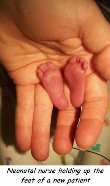 page,50,top 1500 daily pics of the year 2015.html - 1 HD Photos | Premium Gallery 2015