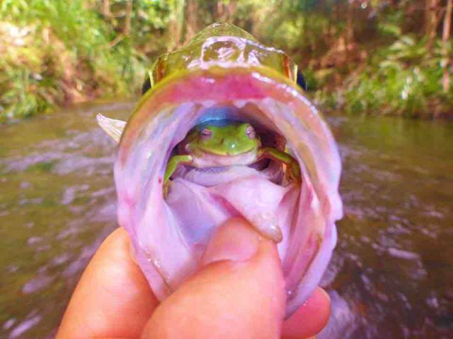 morning picdump 52 pics 2.html - 52 HD Photos | Premium Gallery 2015