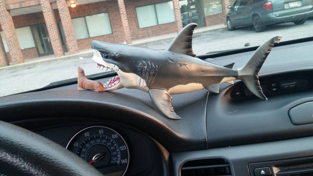 morning picdump 54 pics 3.html - 54 HD Photos | Premium Gallery 2015