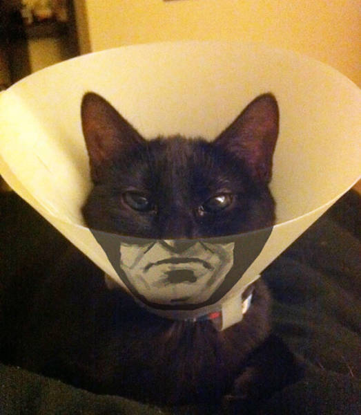 morning picdump 54 pics 3.html - 54 HD Photos | Premium Gallery 2015