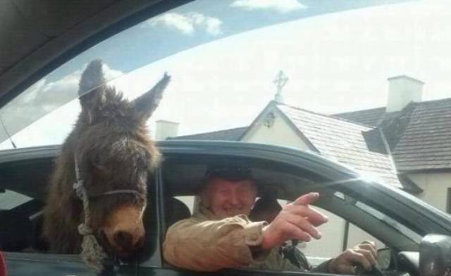 morning picdump 54 pics 3.html - 54 HD Photos | Premium Gallery 2015