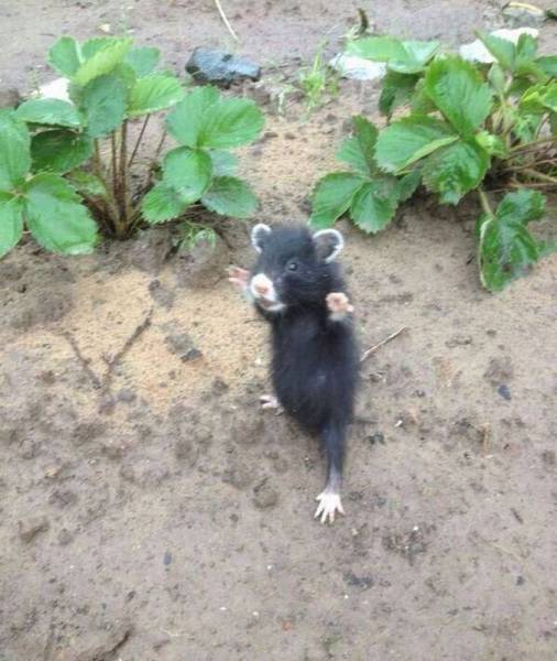 page,20,top 1500 daily pics of the year 2015.html - 1 HD Photos | Premium Gallery 2015