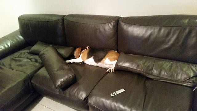 morning picdump 54 pics 18.html - 54 HD Photos | Premium Gallery 2015