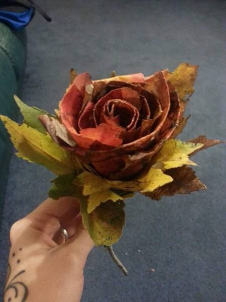 morning picdump 54 pics 18.html - 54 HD Photos | Premium Gallery 2015