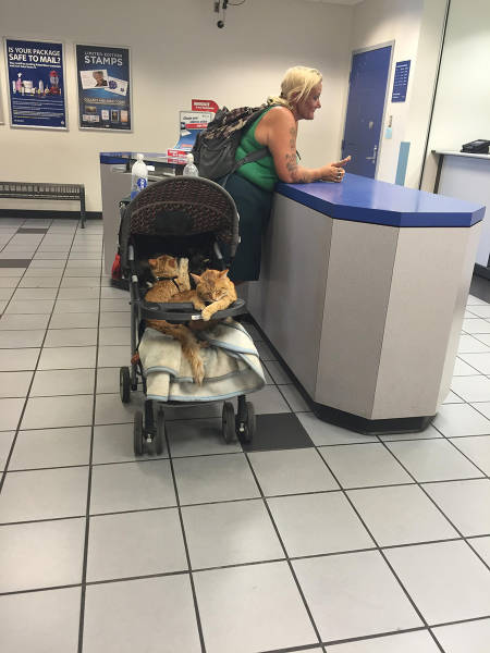 morning picdump 54 pics 30.html - 54 HD Photos | Premium Gallery 2015