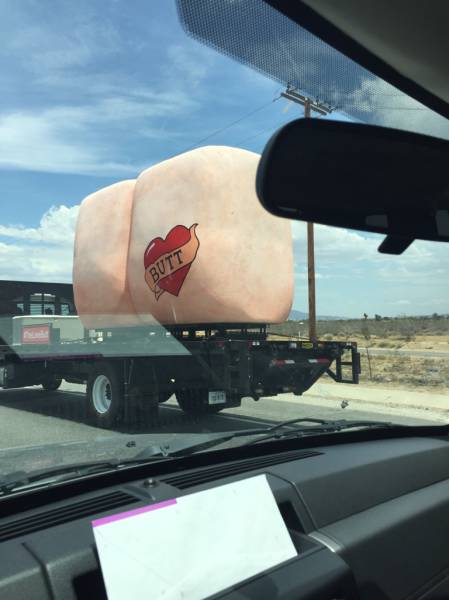 morning picdump 54 pics 30.html - 54 HD Photos | Premium Gallery 2015