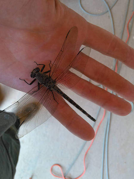 morning picdump 54 pics 30.html - 54 HD Photos | Premium Gallery 2015