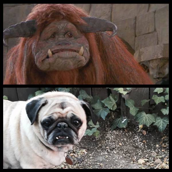 morning picdump 54 pics 30.html - 54 HD Photos | Premium Gallery 2015