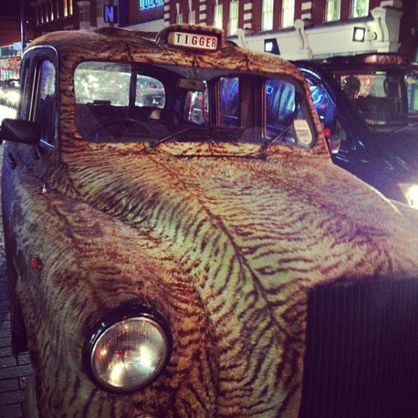 morning picdump 54 pics 30.html - 54 HD Photos | Premium Gallery 2015