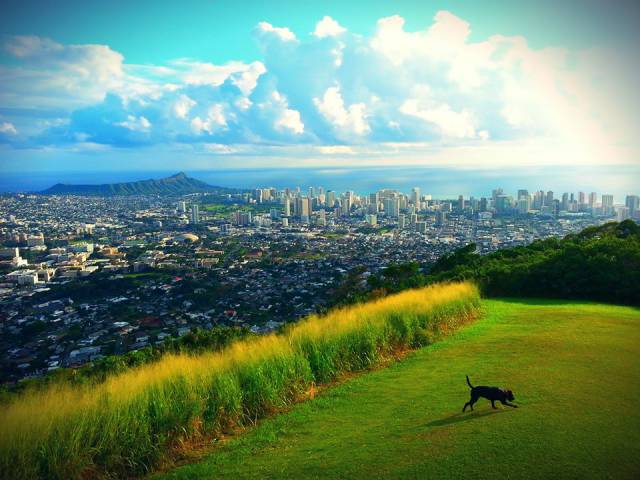 morning picdump 54 pics 30.html - 54 HD Photos | Premium Gallery 2015