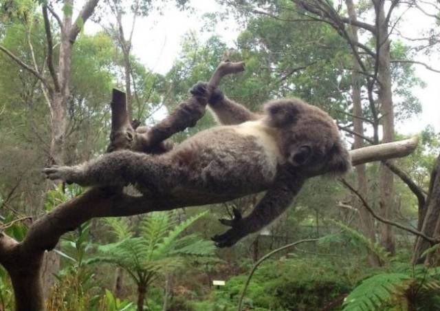 morning picdump 54 pics 30.html - 54 HD Photos | Premium Gallery 2015