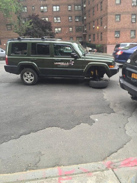 morning picdump 54 pics 30.html - 54 HD Photos | Premium Gallery 2015