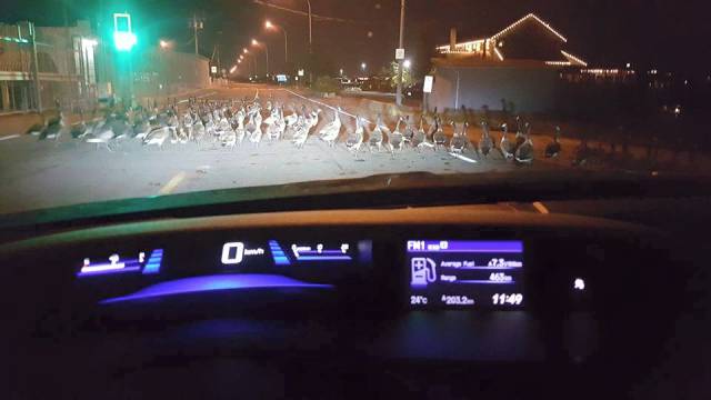 morning picdump 54 pics 30.html - 54 HD Photos | Premium Gallery 2015