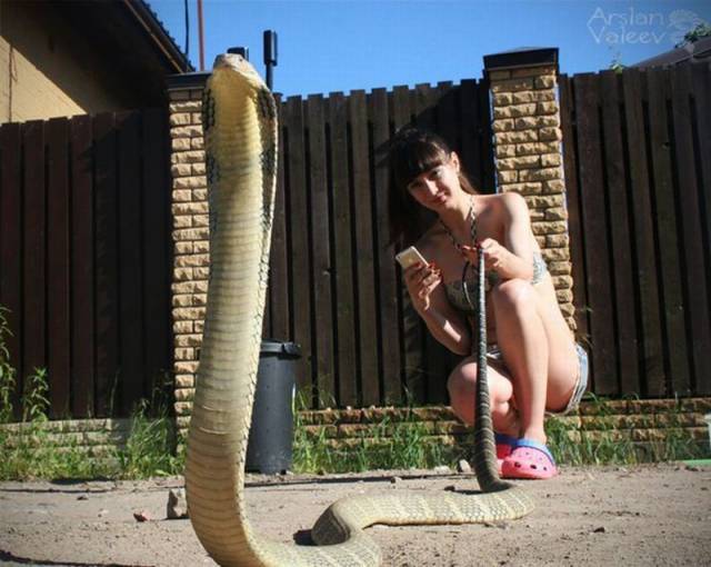 daily picdump 100 pics 71.html - 100 HD Photos | Premium Gallery 2015