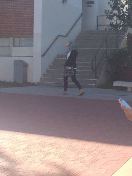 daily picdump 100 pics 71.html - 100 HD Photos | Premium Gallery 2015