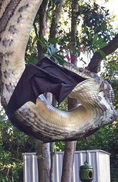 daily picdump 100 pics 71.html - 100 HD Photos | Premium Gallery 2015