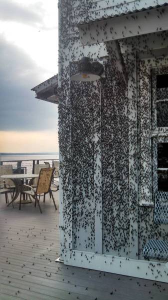 daily picdump 100 pics 71.html - 100 HD Photos | Premium Gallery 2015