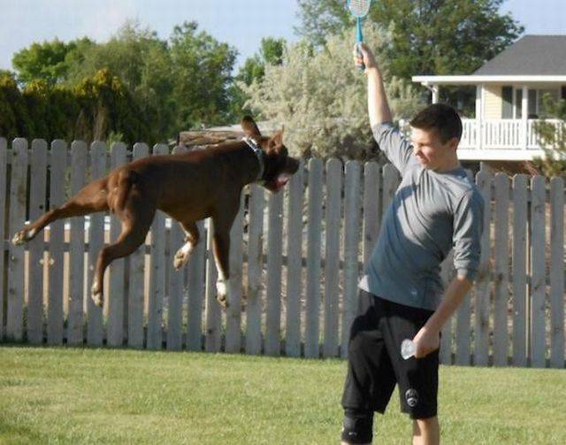 daily picdump 100 pics 71.html - 100 HD Photos | Premium Gallery 2015