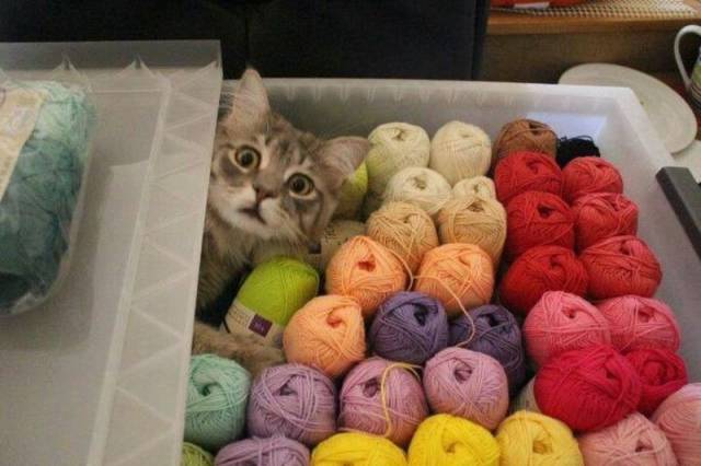 daily picdump 100 pics 71.html - 100 HD Photos | Premium Gallery 2015