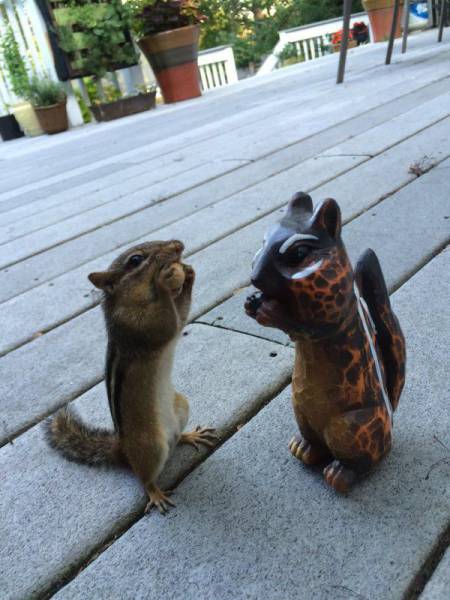 daily picdump 100 pics 71.html - 100 HD Photos | Premium Gallery 2015