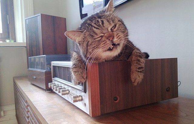 daily picdump 100 pics 71.html - 100 HD Photos | Premium Gallery 2015