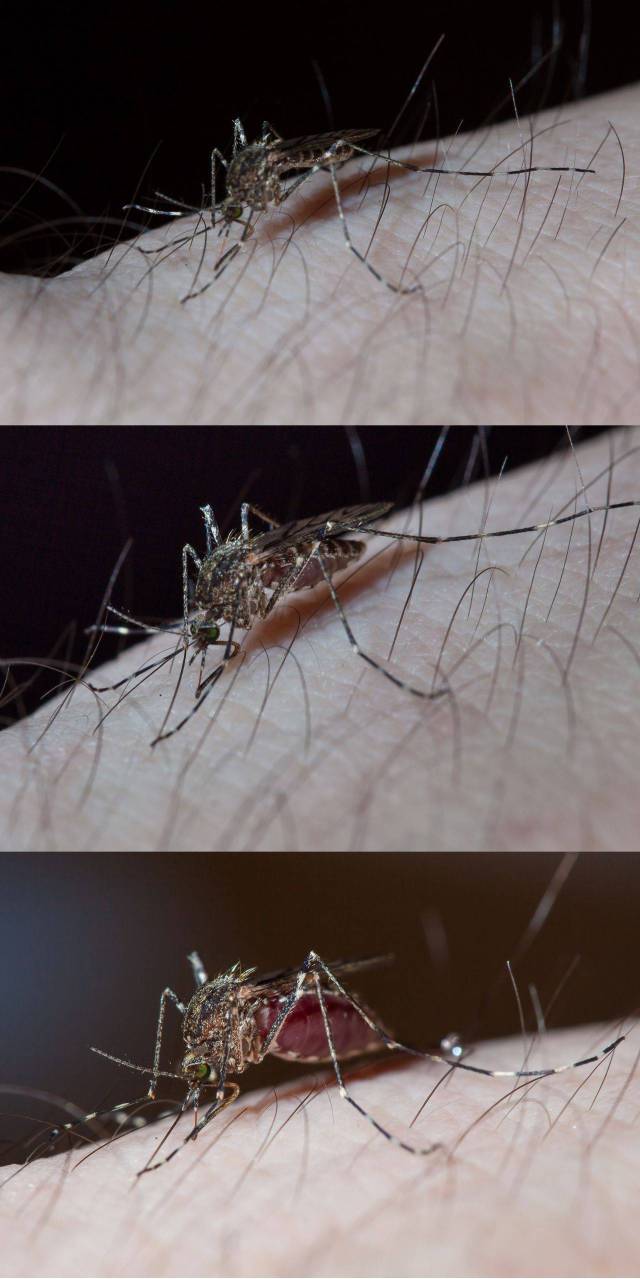 daily picdump 100 pics 71.html - 100 HD Photos | Premium Gallery 2015