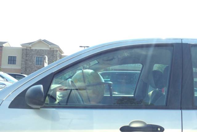 morning picdump 55 pics 7.html - 55 HD Photos | Premium Gallery 2015