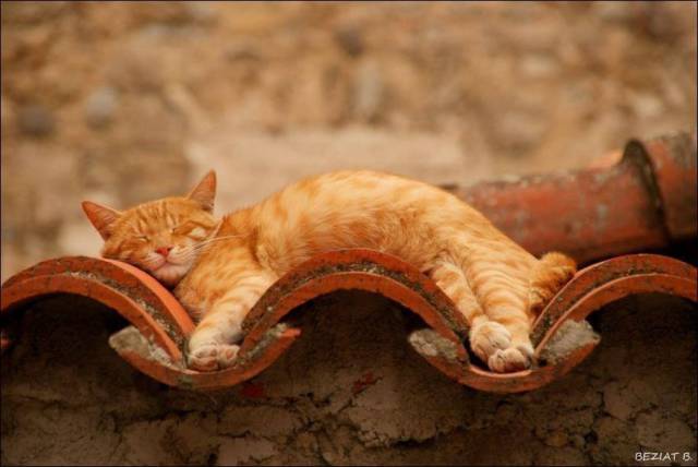 page,20,top 1500 daily pics of the year 2015.html - 1 HD Photos | Premium Gallery 2015