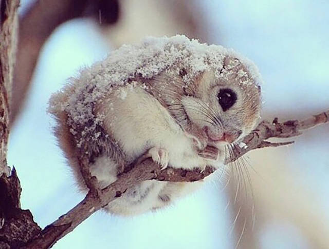 morning picdump 54 pics 31.html - 54 HD Photos | Premium Gallery 2015