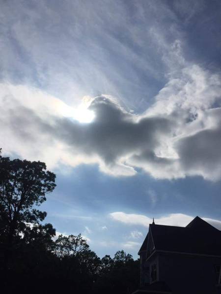 morning picdump 54 pics 31.html - 54 HD Photos | Premium Gallery 2015