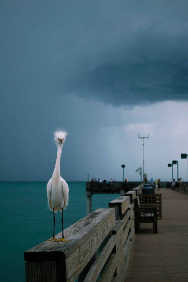 morning picdump 54 pics 31.html - 54 HD Photos | Premium Gallery 2015