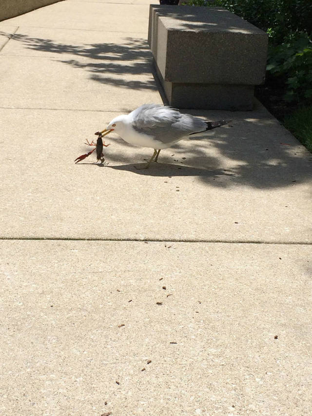 morning picdump 54 pics 31.html - 54 HD Photos | Premium Gallery 2015