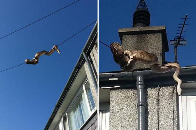 morning picdump 53 pics 7.html - 53 HD Photos | Premium Gallery 2015