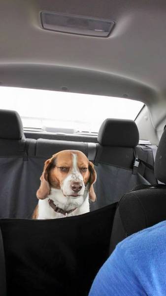 morning picdump 58 pics 4.html - 58 HD Photos | Premium Gallery 2015