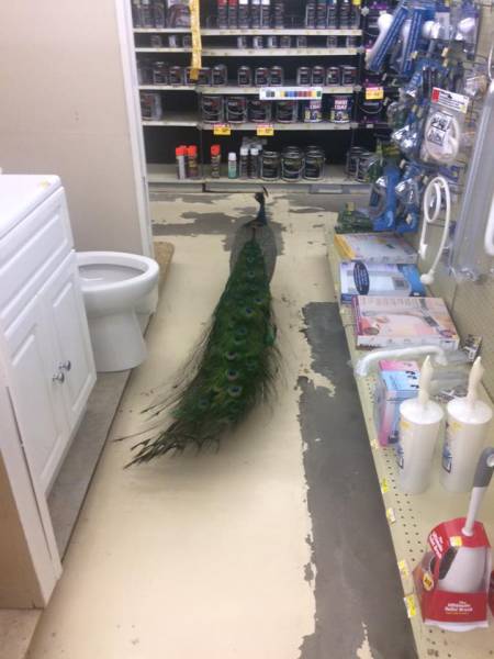 morning picdump 58 pics 4.html - 58 HD Photos | Premium Gallery 2015